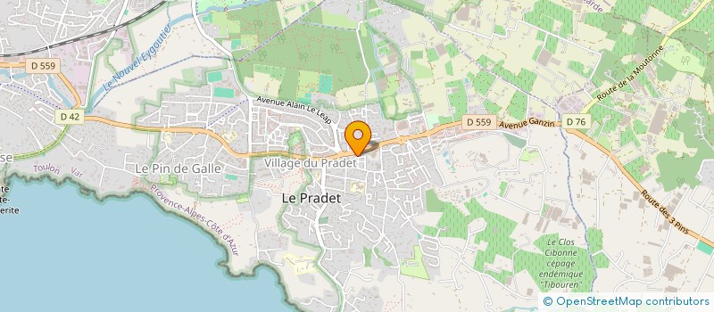 localisation de l'entreprise LES VIBRATIONS DE LA TRIBU  LE PRADET