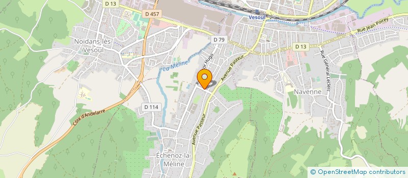 localisation de l'entreprise LES VIEILLES BUISSONNES à ECHENOZ-LA-MELINE