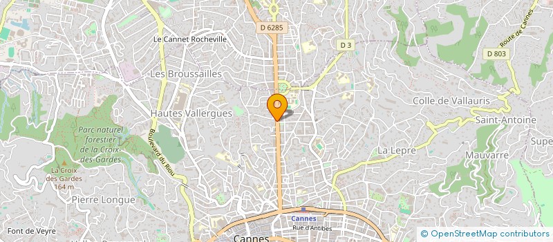 localisation de l'entreprise LES VIEUX MURS INVEST à CANNES