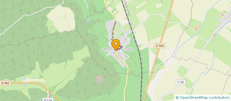 localisation de l'entreprise LES VIGNERONS DU TOULOIS / VARIANTES : CAVE DE MONT LE VIGNOBLE - MAISON EMILIEN LEDUR à MONT-LE-VIGNOBLE