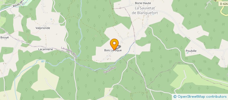 localisation de l'entreprise LES VIGNES  LACAPELLE-BIRON