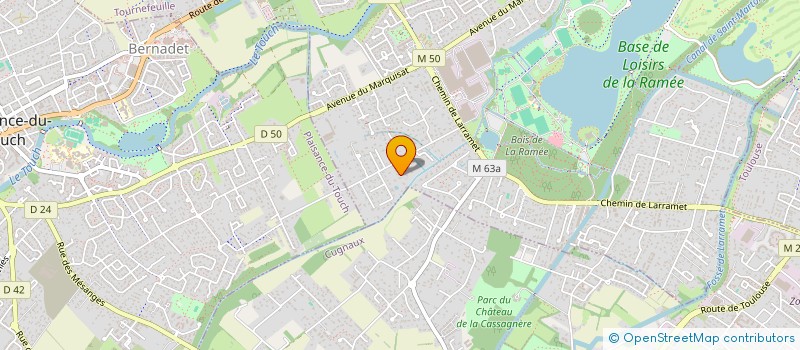 localisation de l'entreprise LES VIGNES  TOURNEFEUILLE