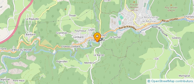 localisation de l'entreprise LES VIGNES  THIERS