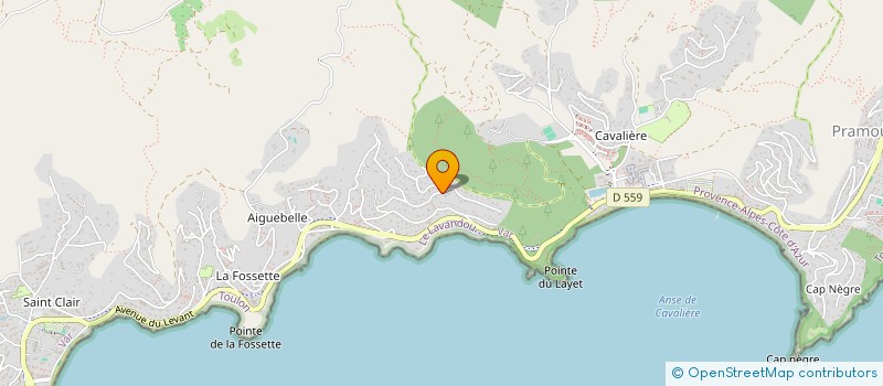 localisation de l'entreprise LES VINS D'EMILE à LE LAVANDOU