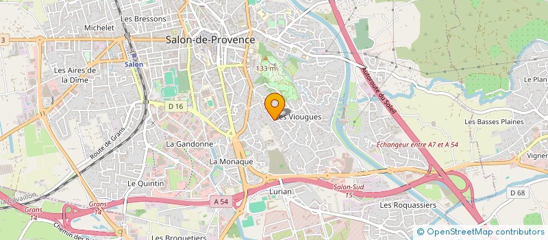 localisation de l'entreprise LES VIOUGUES  SALON-DE-PROVENCE