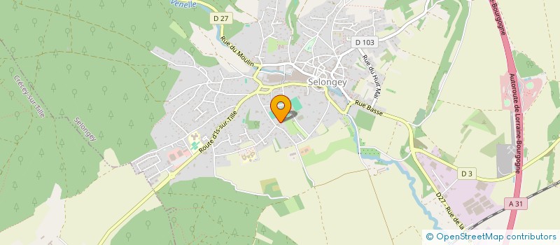 localisation de l'entreprise LES VIREUILS  SELONGEY