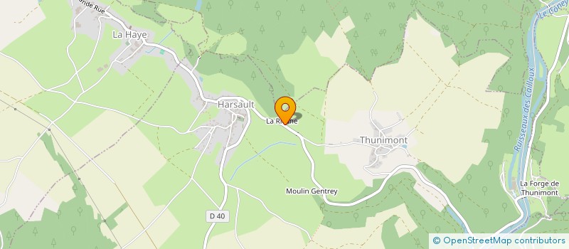 localisation de l'entreprise LES VO'JEUX  LA VOGE-LES-BAINS