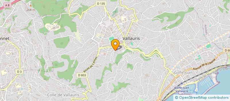 localisation de l'entreprise LES VOYAGES BY JULIE  VALLAURIS