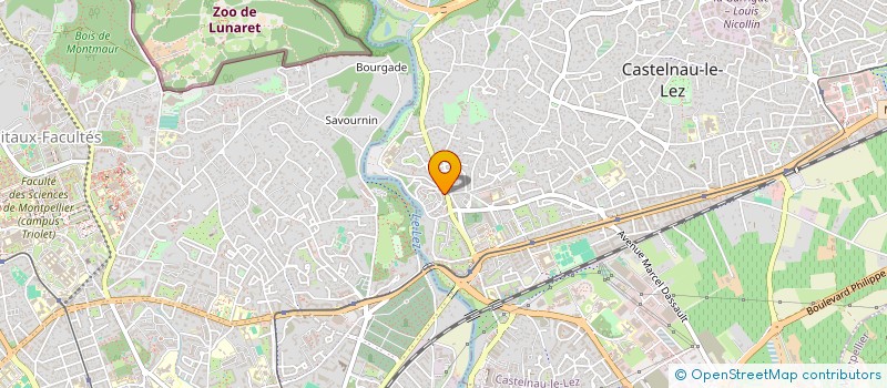 localisation de l'entreprise LES VOYAGES DE FLO à CASTELNAU-LE-LEZ
