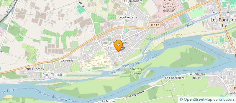 localisation de l'entreprise LES VOYAGEURS  SAINTE-GEMMES-SUR-LOIRE