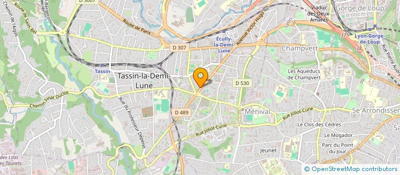 localisation de l'entreprise LES VOYAGEURS DU NUMERIQUE LYON  TASSIN-LA-DEMI-LUNE