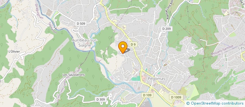 localisation de l'entreprise LES VUES DES HAUTES RIBES  PEGOMAS