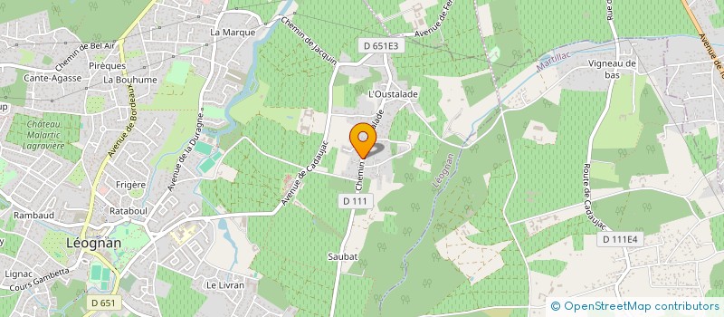 localisation de l'entreprise LES YEUX DU CEDRE  LEOGNAN