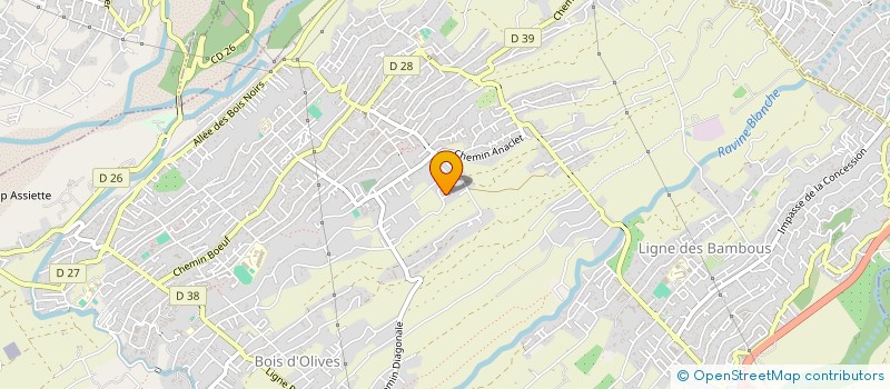 localisation de l'entreprise LES Z'IRONDELLES à SAINT-PIERRE