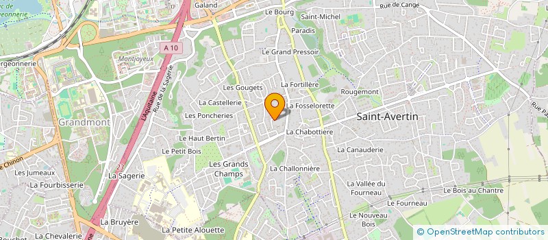 localisation de l'entreprise LES ZINZINS  SAINT-AVERTIN