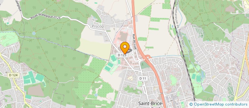 localisation de l'entreprise LES ZOUZOUS à SAINT-BRICE-SOUS-FORET