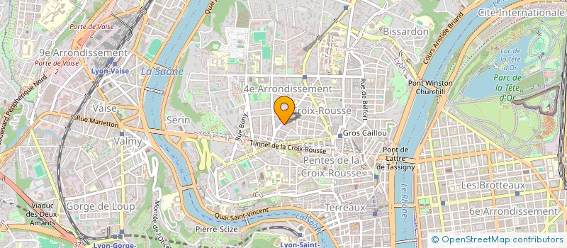 localisation de l'entreprise LES ZURBAMATEURS à LYON