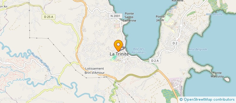 localisation de l'entreprise LESDEMA CONDUITE à LA TRINITE