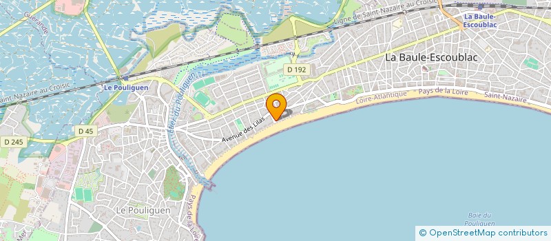 localisation de l'entreprise LESPETITSDUCS à LA BAULE-ESCOUBLAC