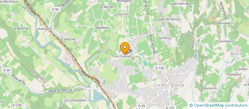 localisation de l'entreprise LESRAFFINEUSES  LYON