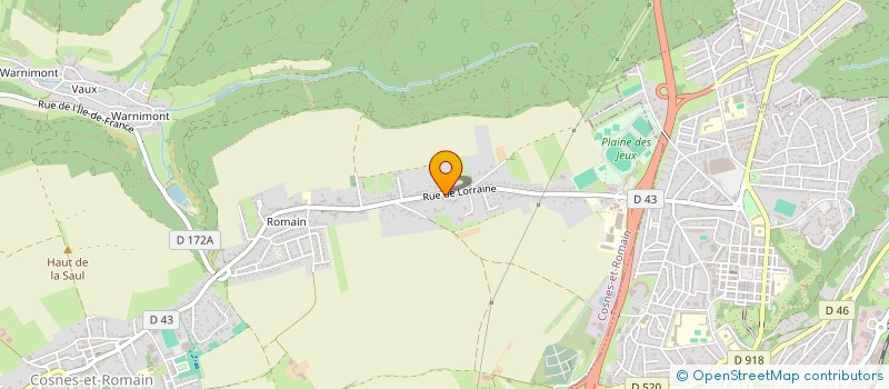 localisation de l'entreprise LESUD  COSNES-ET-ROMAIN