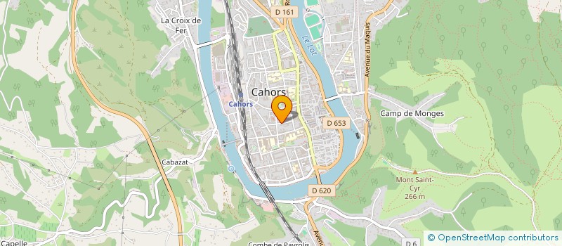 localisation de l'entreprise LETRADO IMMO  LE MONTAT