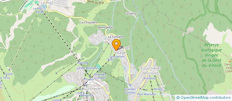 localisation de l'entreprise LEV 1650 à COURCHEVEL