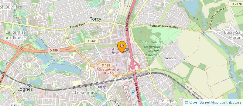 localisation de l'entreprise LEVAGE SERVICE à TORCY