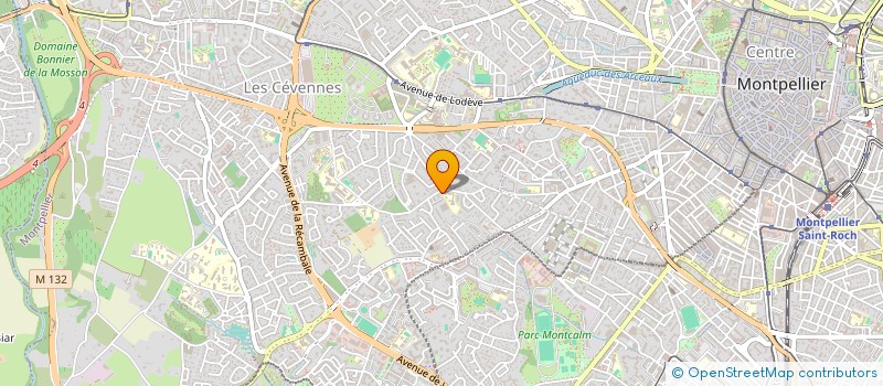 localisation de l'entreprise LEVE TOI ET DANSE à MONTPELLIER
