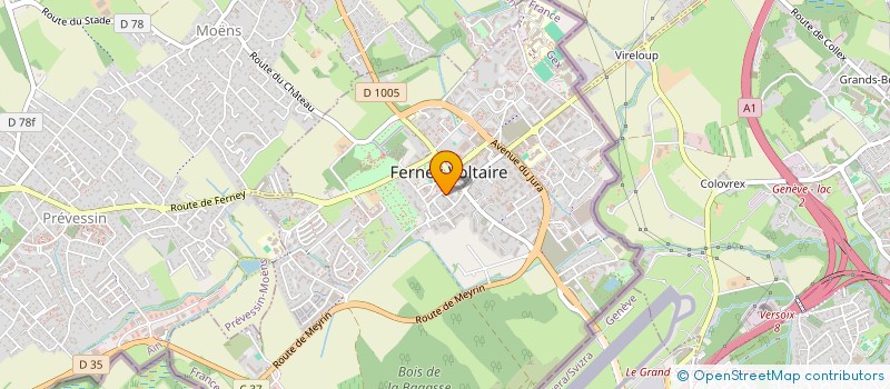 localisation de l'entreprise LEVENGERG / DATSYUK à FERNEY-VOLTAIRE