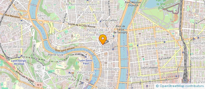 localisation de l'entreprise LEVEUGLE à LYON