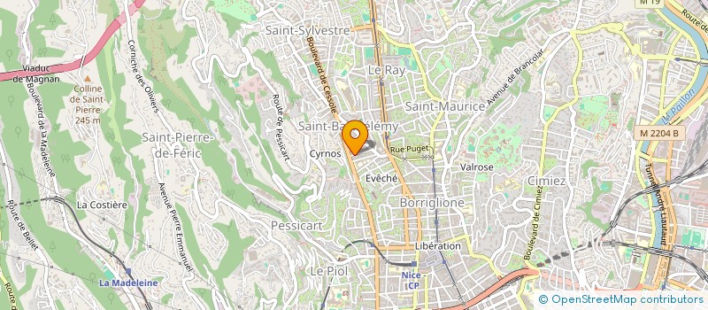 localisation de l'entreprise LEVINUT à NICE
