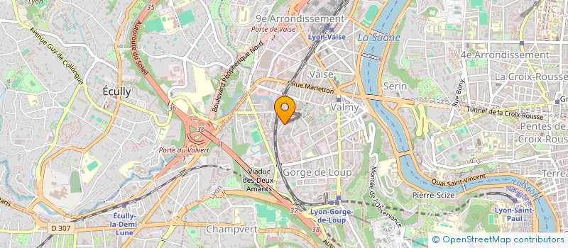 localisation de l'entreprise LEVISAC INVEST  LYON