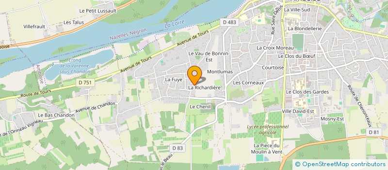 localisation de l'entreprise LEYAN  AMBOISE