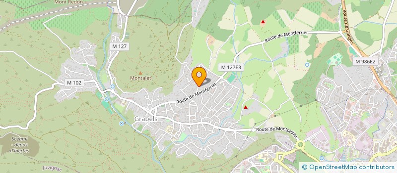 localisation de l'entreprise LEYO & CO  GRABELS