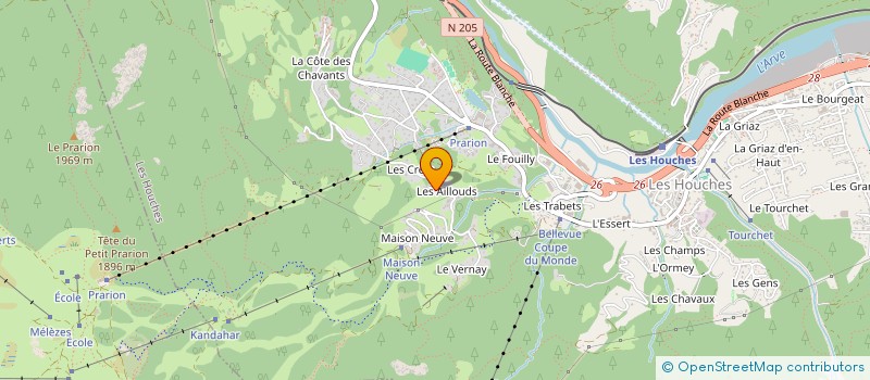 localisation de l'entreprise LEYSHON à LES HOUCHES