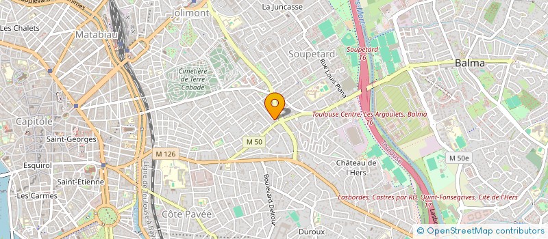 localisation de l'entreprise LEZARD AILE à TOULOUSE