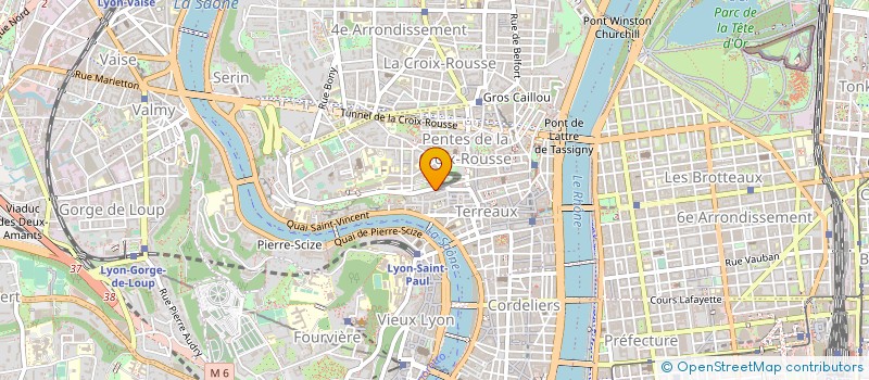 localisation de l'entreprise LEZARDS BUISSONNIERS à LYON