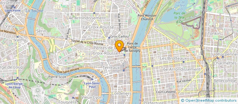 localisation de l'entreprise LEZARDS DORES à LYON