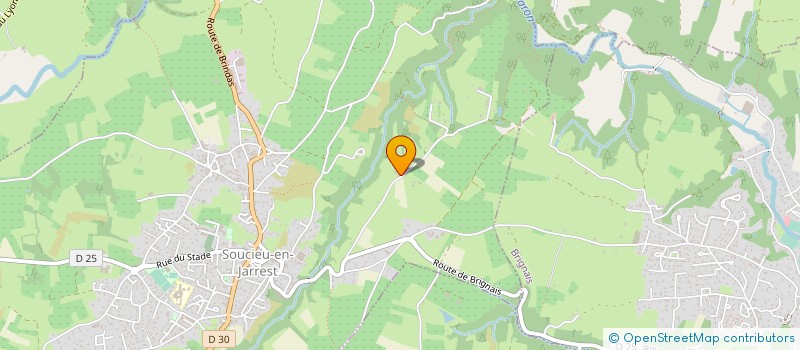 localisation de l'entreprise LFO  SOUCIEU-EN-JARREST