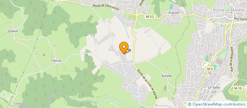 localisation de l'entreprise LFY IMMO  SAINT-ETIENNE