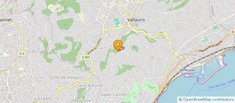 localisation de l'entreprise LG à VALLAURIS
