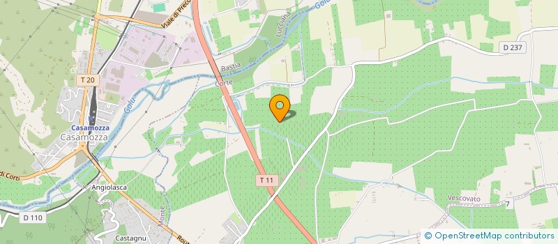 localisation de l'entreprise LG CONSEILS EN CONSTRUCTION ET EN RENOVATION  VESCOVATO