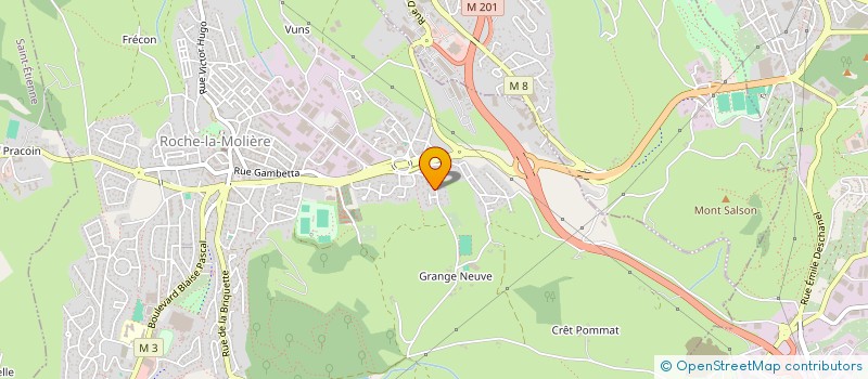 localisation de l'entreprise LG TRANSPORTS ET FILS à ROCHE-LA-MOLIERE