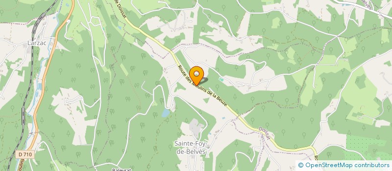 localisation de l'entreprise LGFM  SAINTE-FOY-DE-BELVES