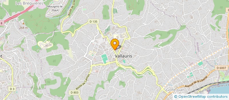 localisation de l'entreprise LGJS à VALLAURIS