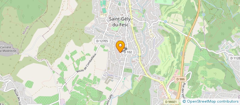 localisation de l'entreprise LGM  MONTFERRIER-SUR-LEZ