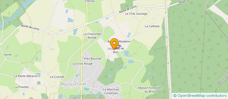 localisation de l'entreprise LGM SERVICE à BOUZY-LA-FORET