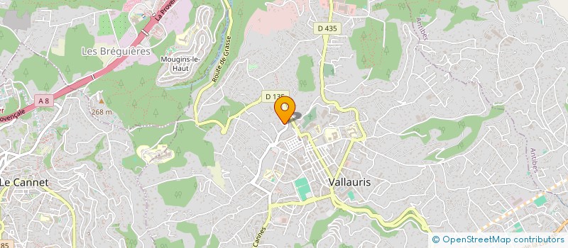 localisation de l'entreprise LGT à VALLAURIS