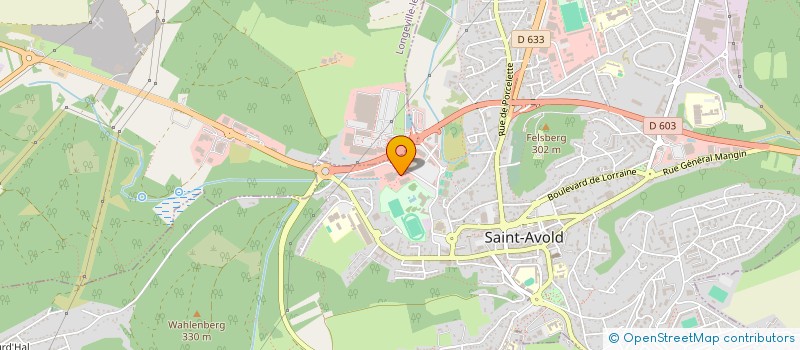 localisation de l'entreprise LI-AME  SAINT-AVOLD